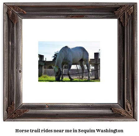 horse trail rides near me in Sequim, Washington